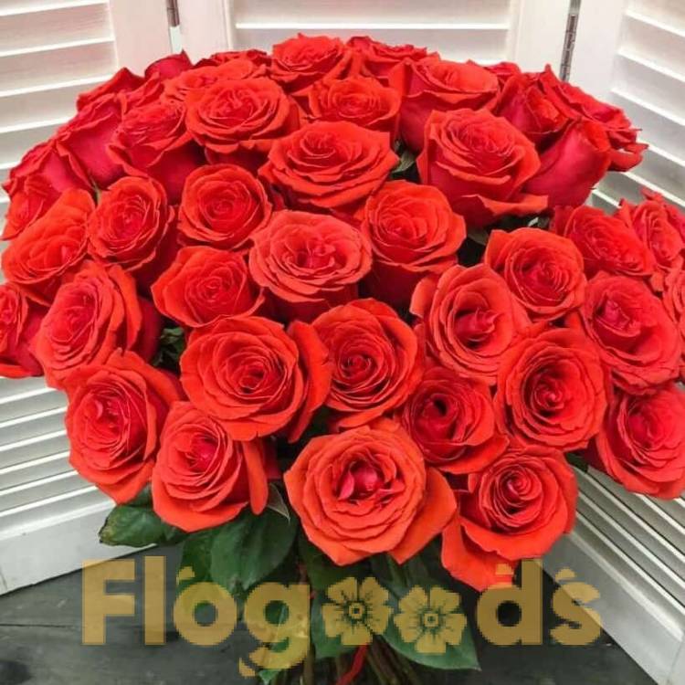 51 красная роза за 19 505 руб.
